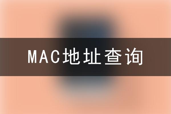 MAC地址查询